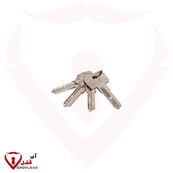 فاخر فاخر قفل فناء بتصميم ISO محوسب (رئيسي)