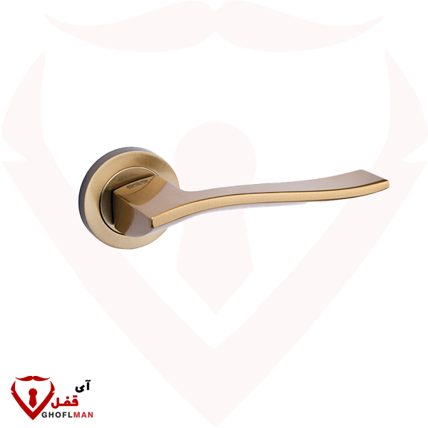 مقبض وردية 1900R، إيران، إيران