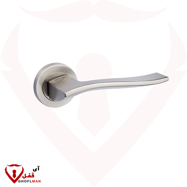 مقبض وردية 1900R، إيران، إيران