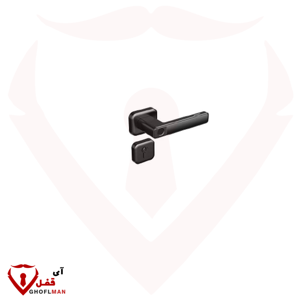 مقبض رقمي ذكي من فيليبس DDL101-3HBS