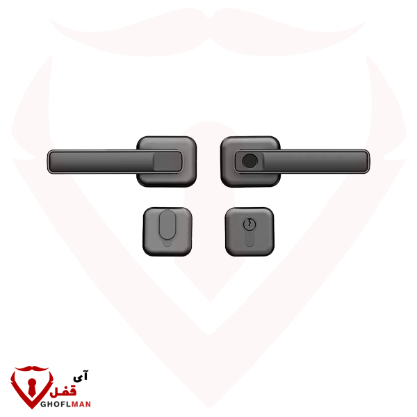 مقبض رقمي ذكي من فيليبس DDL101-3HBS