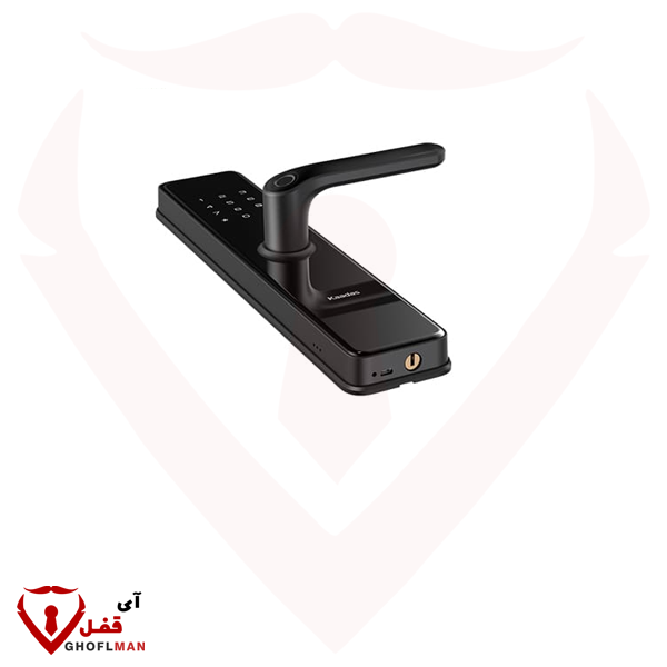 KAADAS مقبض رقمي ذكي S100c