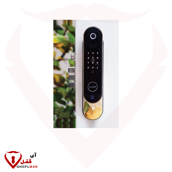 ALOCK + p60 مقبض رقمي ذكي