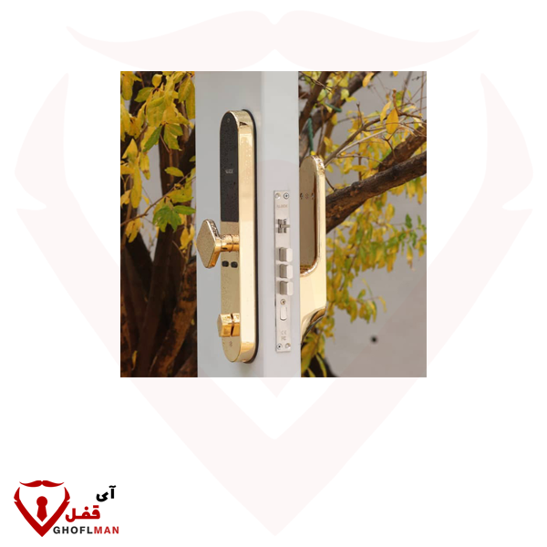 ALOCK + p60 مقبض رقمي ذكي