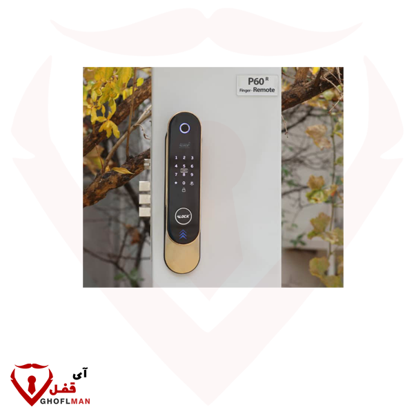 ALOCK + p60 مقبض رقمي ذكي