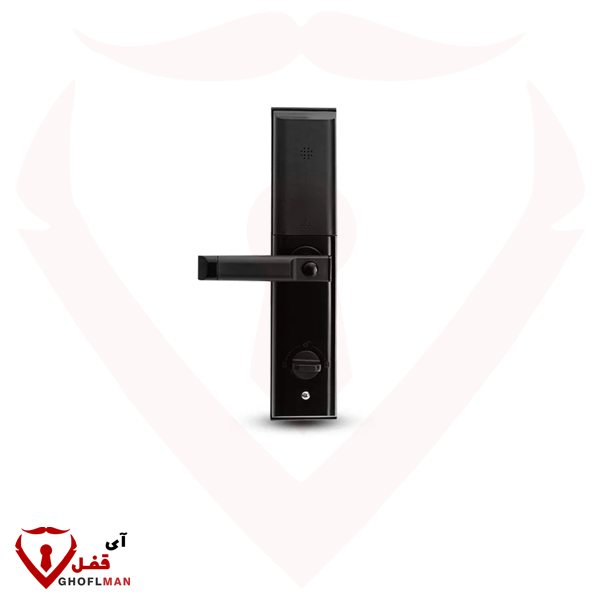 مقبض رقمي ذكي ROOK H220