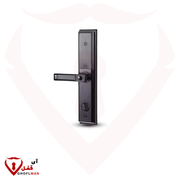 مقبض رقمي ذكي ROOK H220