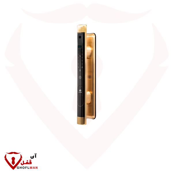 مقبض رقمي ذكي P251 Rook ROOK