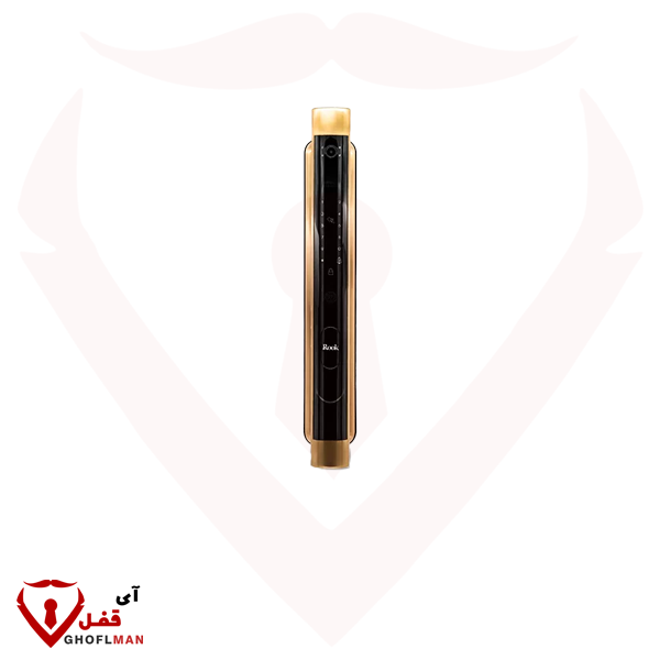 مقبض رقمي ذكي P251 Rook ROOK