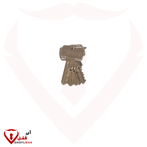 قفل كتاب مع خطوة سلندر 10 كرات M85 منير صنعت 101