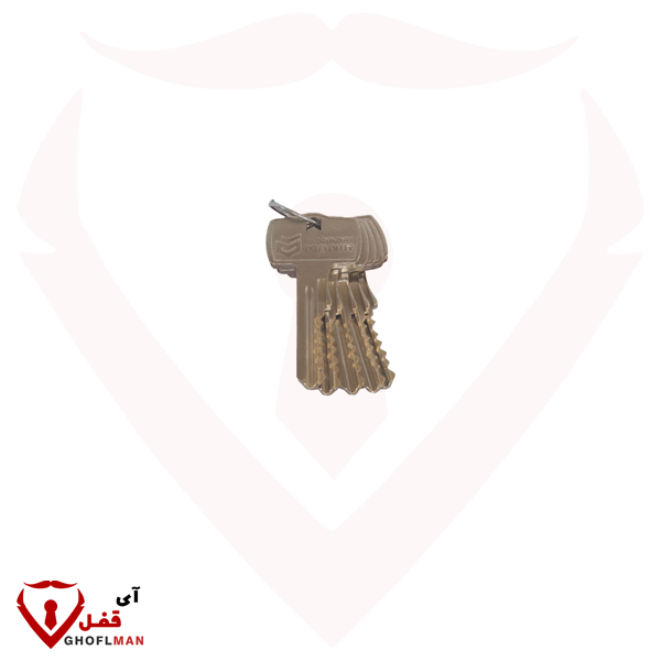 108 منير صنعت 108 منير صنعت قفل أسطواني مزود بأسطوانة متدرجة ذات 18 طلقة M110