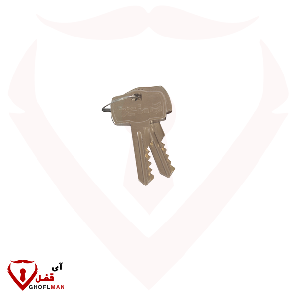 قفل القرص مع اسطوانة الخطوة 10 كرات 109 منير صنعت