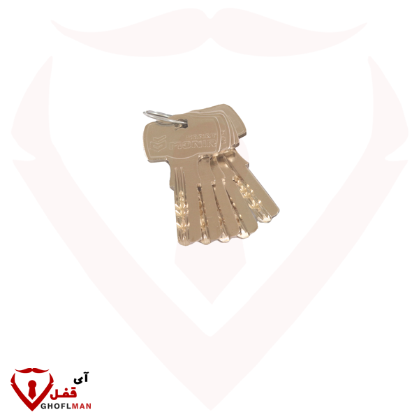 منير سانات