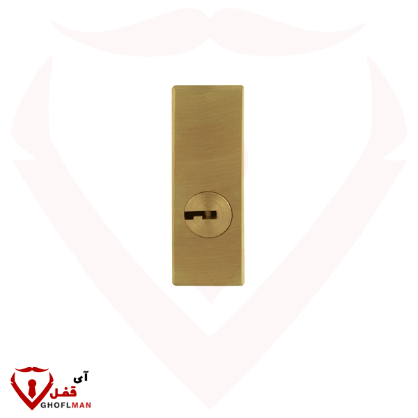 قفل الكتاب 950 رمز الكمبيوتر 008 GIRA الصيد