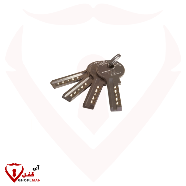 قفل الكتاب 950 رمز الكمبيوتر 008 GIRA الصيد