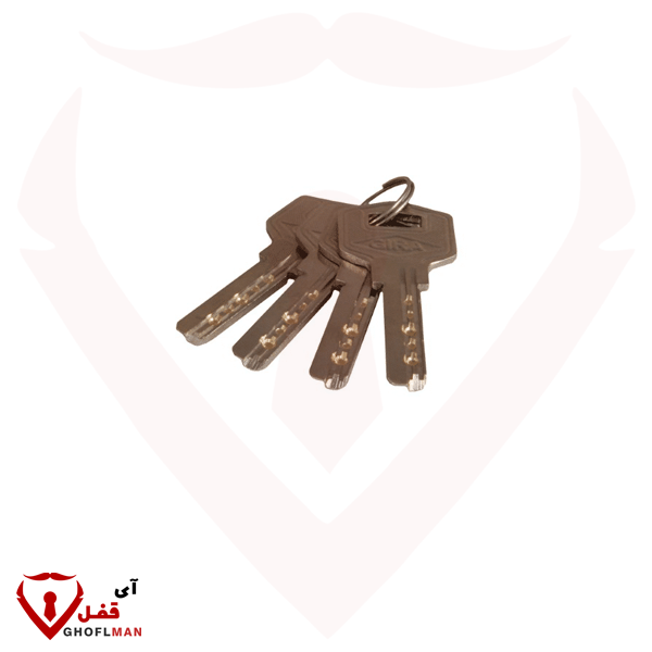 كود قفل كتاب الشقة المطلي 013 GIRA Catch