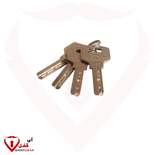 قفل كتاب 900 رمز دورية مطلي بالكمبيوتر 039 GIRA Catch