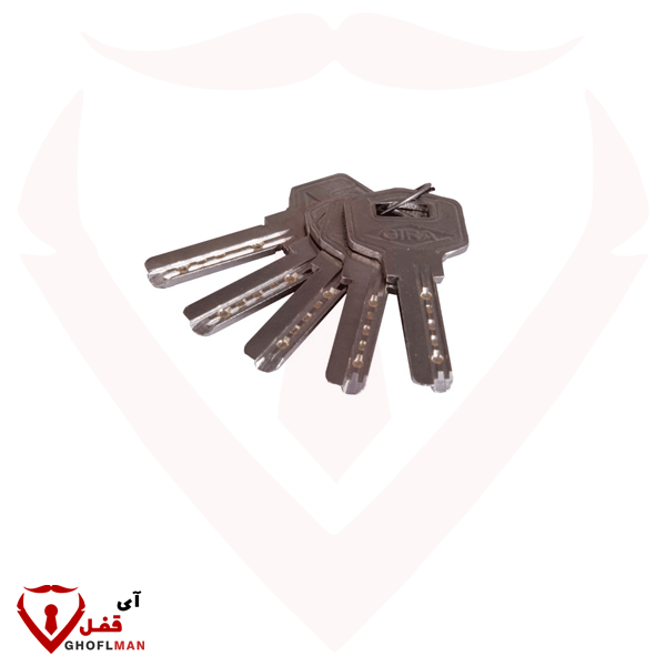 قفل الكتاب 950 مطلي (رقمين) نفس رمز المفتاح 1717 GIRA Catch