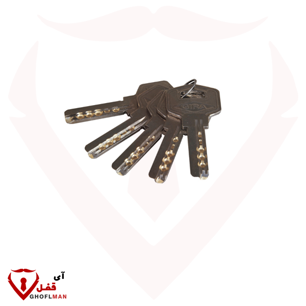 قفلان للكتب 970 مفتاح فائق، نفس الرمز 1818 GIRA Catch