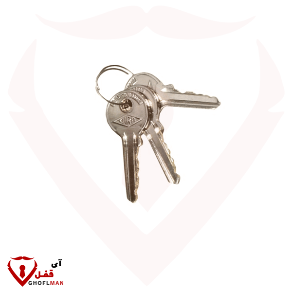 رمز قفل عجلة القيادة 007 GIRA Catch