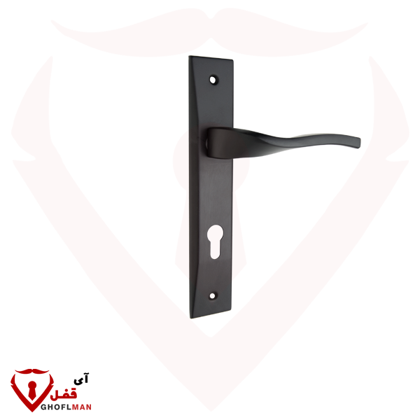 ريتا 2 مقبض لوحة الترخيص زارين بارس زارين بارس